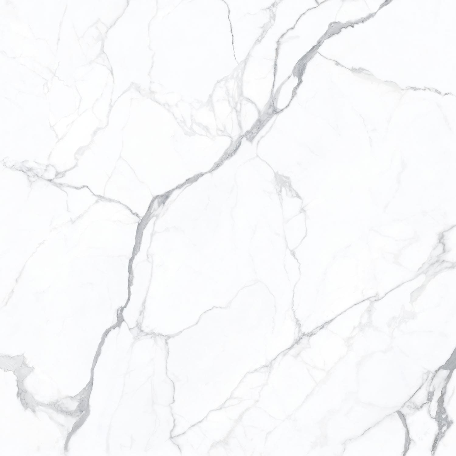 سيراميك وبورسلين